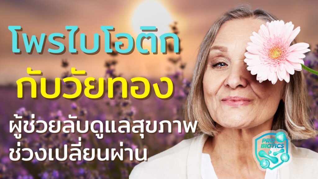 โพรไบโอติกกับวัยทอง – ผู้ช่วยลับดูแลสุขภาพช่วงเปลี่ยนผ่าน