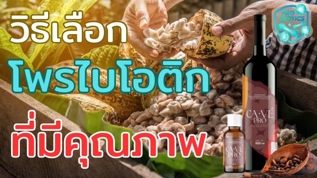 วิธีเลือกอาหารเสริมโพรไบโอติกที่มีคุณภาพ