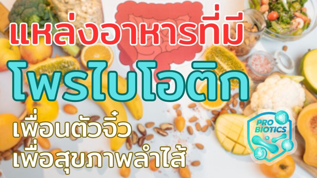 แหล่งอาหารที่มีโพรไบโอติก  เพื่อนตัวจิ๋วเพื่อสุขภาพลำไส้