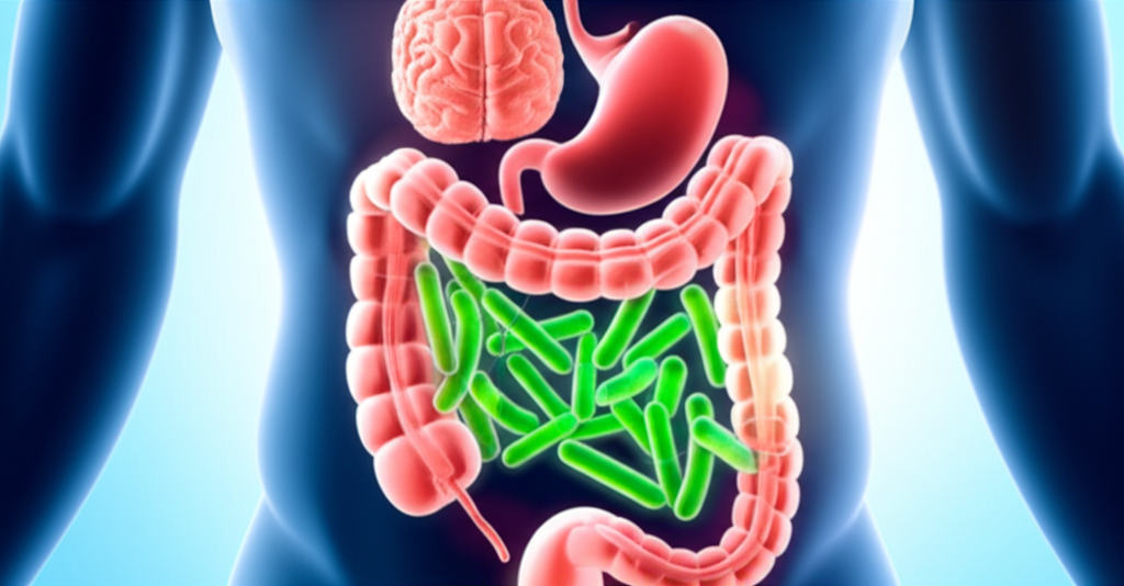 โปรไบโอติกเสริมลำไส้แข็งแรง: ไขความลับโกโก้และอาหารธรรมชาติบำรุงจุลินทรีย์ section 1