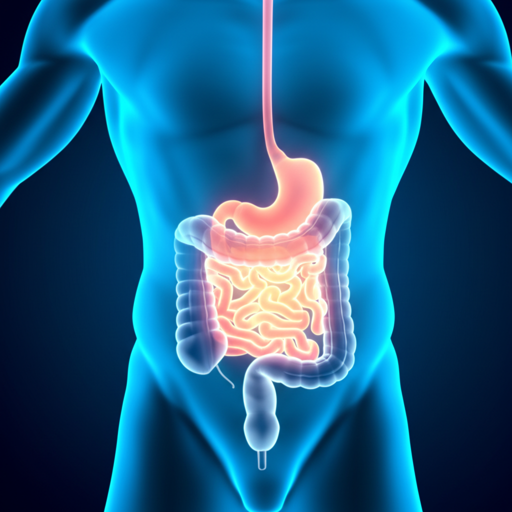 เป็นสิวเรื้อรัง รักษาไม่หาย? นี่คือความลับลำไส้ที่อาจเป็นต้นเหตุ section 4