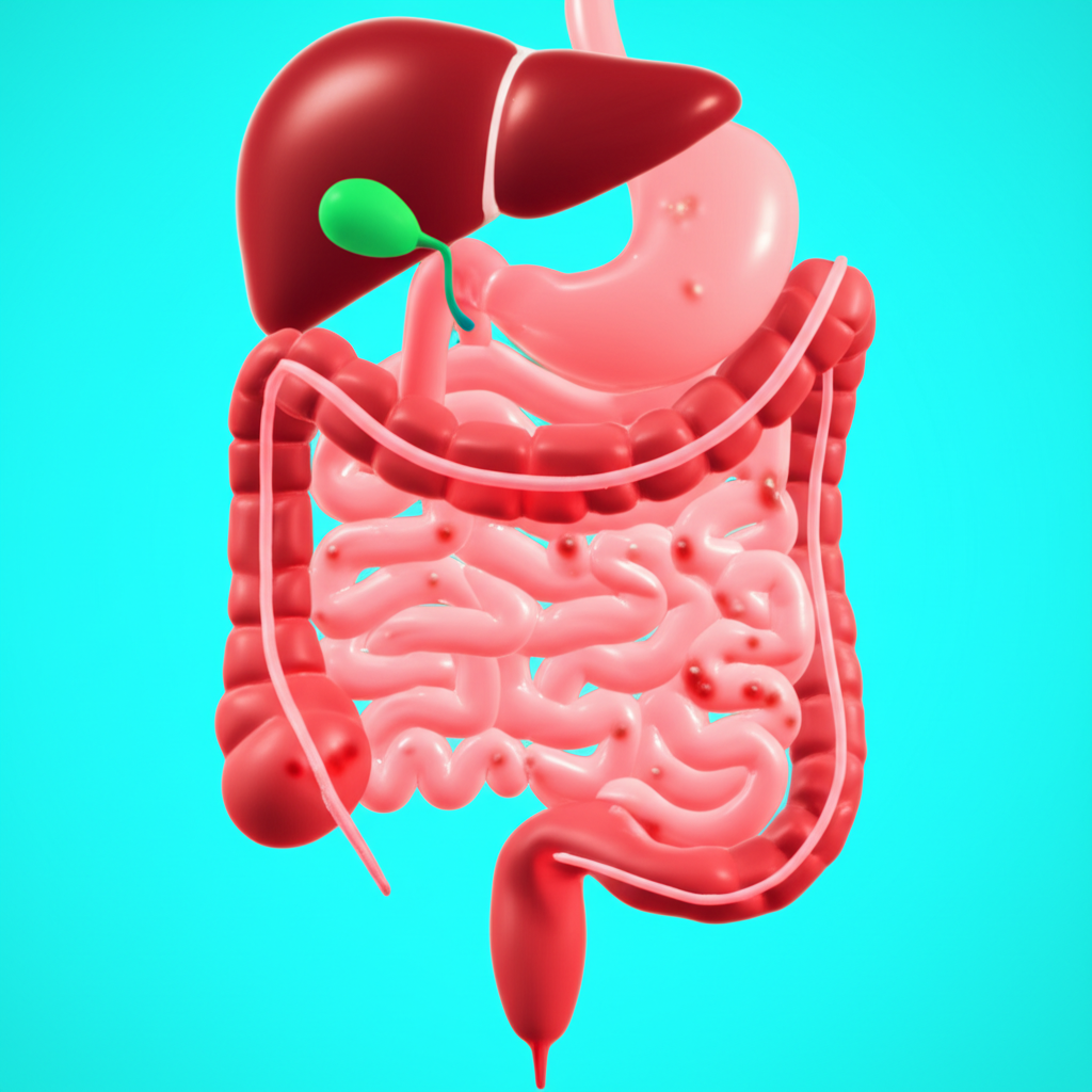 เป็นสิวเรื้อรัง รักษาไม่หาย? นี่คือความลับลำไส้ที่อาจเป็นต้นเหตุ section 2